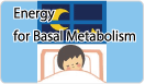Energy for basal metabolism
